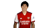 Football Celebrate Sticker by Arsenal