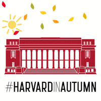 Haa Harvard Alumni GIF by Harvard Alumni Association