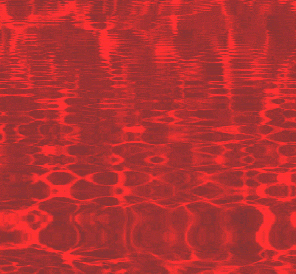 yngkln giphyupload GIF