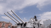 virginia GIF