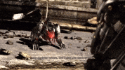 Metal Gear Rising Bladewolf GIF