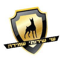 shayshmira shaysecurity Sticker