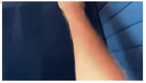 PetGiph giphyupload GIF