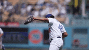 Celebrate Lets Go GIF by MLB