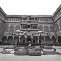 Dog India GIF by Suryagarh Collection