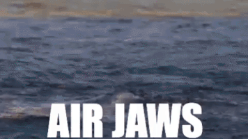 Shark Week Sharks GIF by Discovery