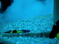 Rob Thomas Matchbox 20 GIF by Matchbox Twenty