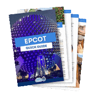 Disney World Ultimate Guide Sticker by DisneyFoodBlog