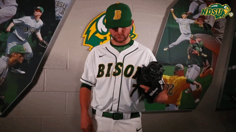 north dakota state baseball GIF by NDSU Athletics