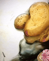 Lab Onf GIF by Alex Boya