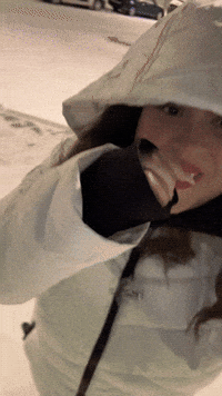 Snow Winter GIF