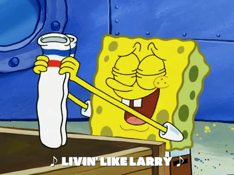 season 6 GIF by SpongeBob SquarePants