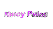nancy pelosi people Sticker