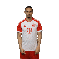 Football Sport Sticker by FC Bayern Munich