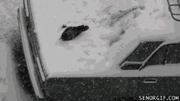 snow flying GIF by Cheezburger