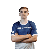 Team Link Sticker by VirtualGP