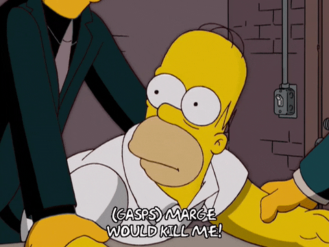 homer simpson GIF