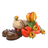 Summer Sunflower Sticker