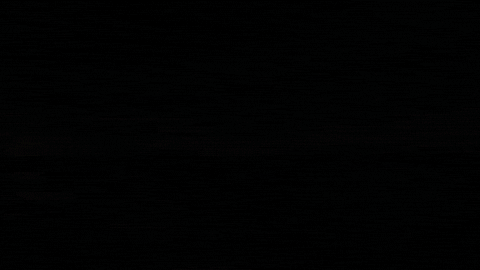 georgia GIF