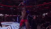 Sport Mma GIF by UFC