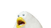 iyomtmt scream screaming puu 叫ぶ Sticker
