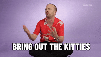 Bring Out The Kitties