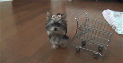 edition couponing GIF