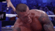 Randy Orton Sport GIF by WWE