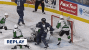 GIF by Milwaukee Admirals