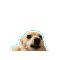 Psitwor dog doggo funnydog glutenzbiszkopta Sticker