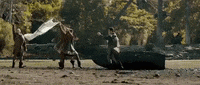 tcgs tcgs tcgsco sean bell mat murray GIF