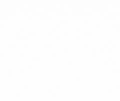 Logo Plum GIF by Plumdigitalhub