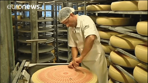 cheese GIF by euronews