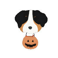HoneypressDesign halloween halloween candy halloween dog bernese Sticker