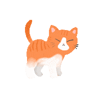 Cat Sticker