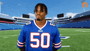 Buffalo Bills Smh GIF by Northtown Auto