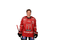 New York Nhl Sticker by Örebro Hockey