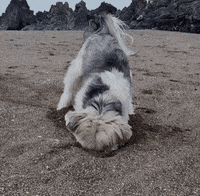 Summer Digging GIF