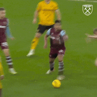 Premier League Football GIF by West Ham United