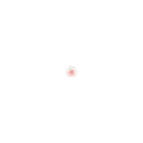 Tomato Lezzet Sticker by JrSousChef