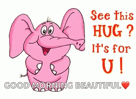 Good Morning Beautiful GIF