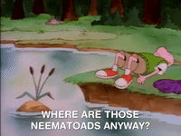nicksplat doug GIF