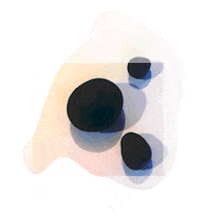 submission GIF by The Savannah .GIF Festival