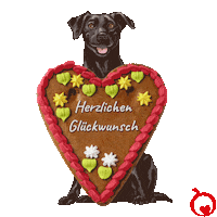 Herzlichen Gluckwunsch Celebrating Sticker by GranataPet