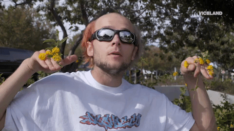 viceland GIF by KING OF THE ROAD