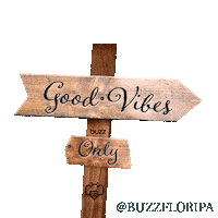Goodvibes Sticker by Buzz Floripa