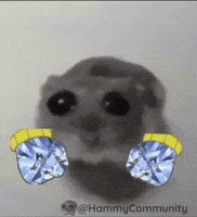 Coin Shaking GIF by Sad Hamster