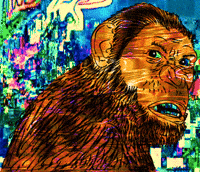 fox glitch GIF by PEEKASSO