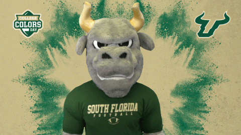 College Sports Bulls GIF by College Colors Day