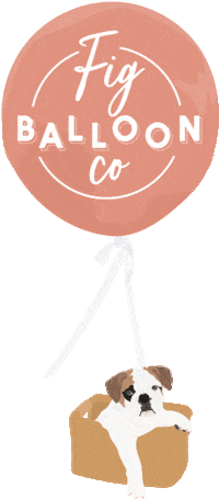 figballoonco fig fig balloon co figballoonco figballoon Sticker
